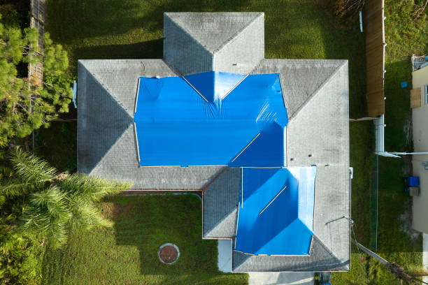 Best Asphalt Shingle Roofing  in Brighton, AL