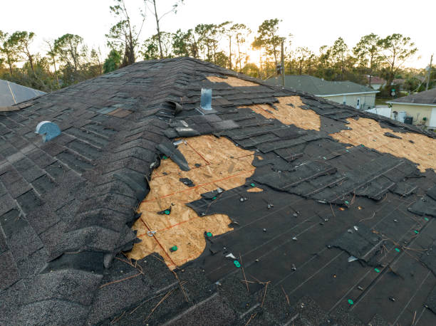 Best Slate Roofing  in Brighton, AL